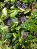 Romaine Mix - 8 oz